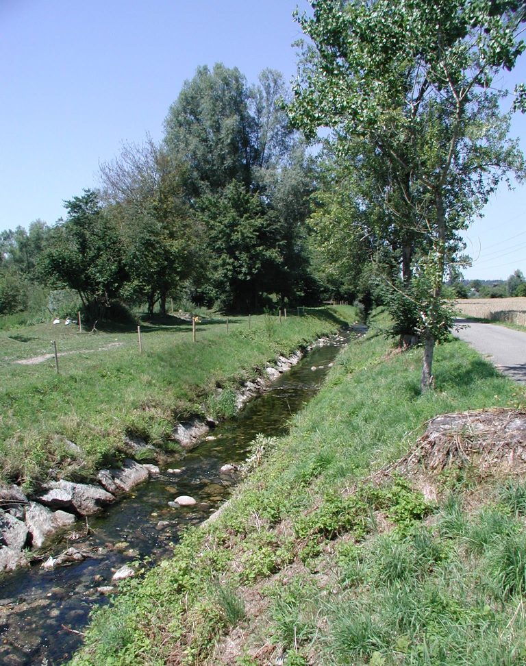 Une rivière qui n'est pas encore revitalisée