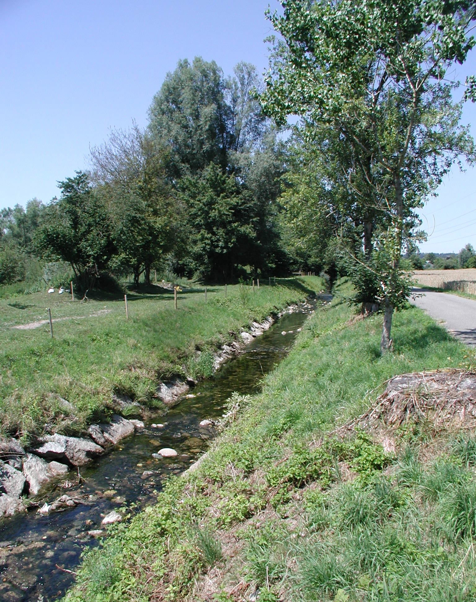 Fluss Bünz vor der Renaturierung