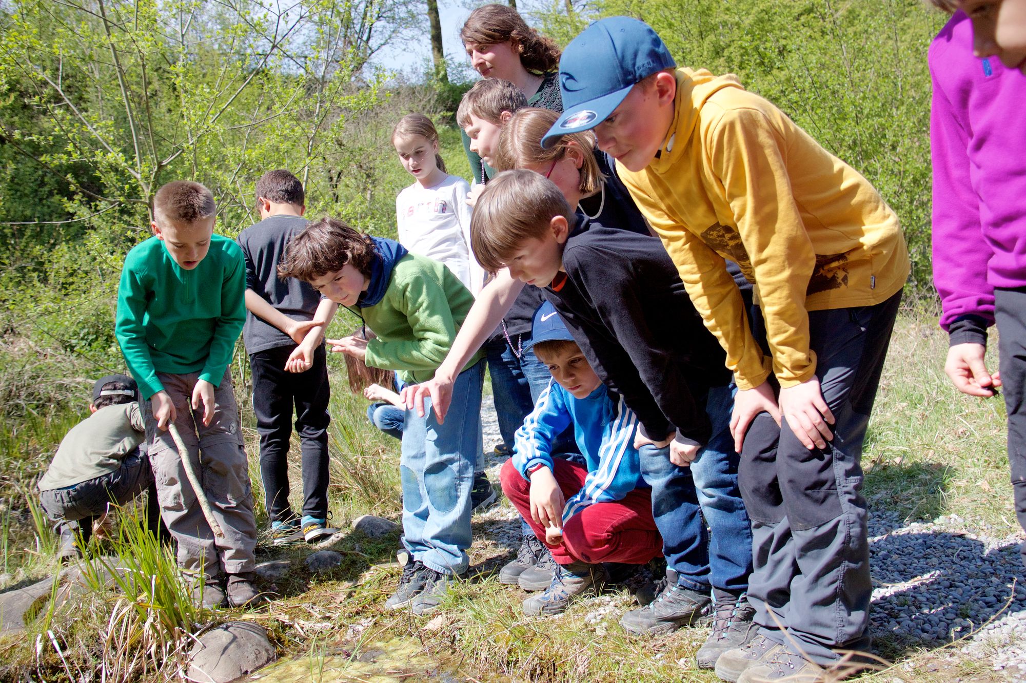 Des enfants dans la nature lors d'un camp