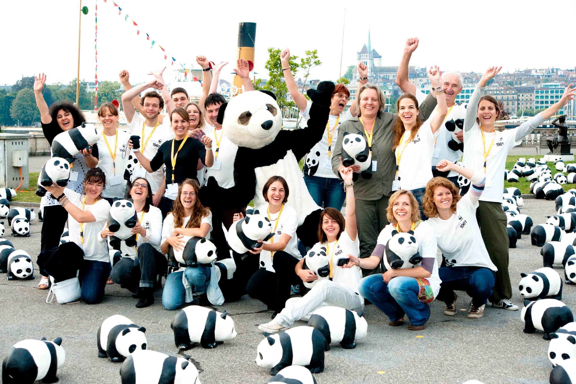 Le WWF Suisse est la plus grande organisation environnementale de Suisse.