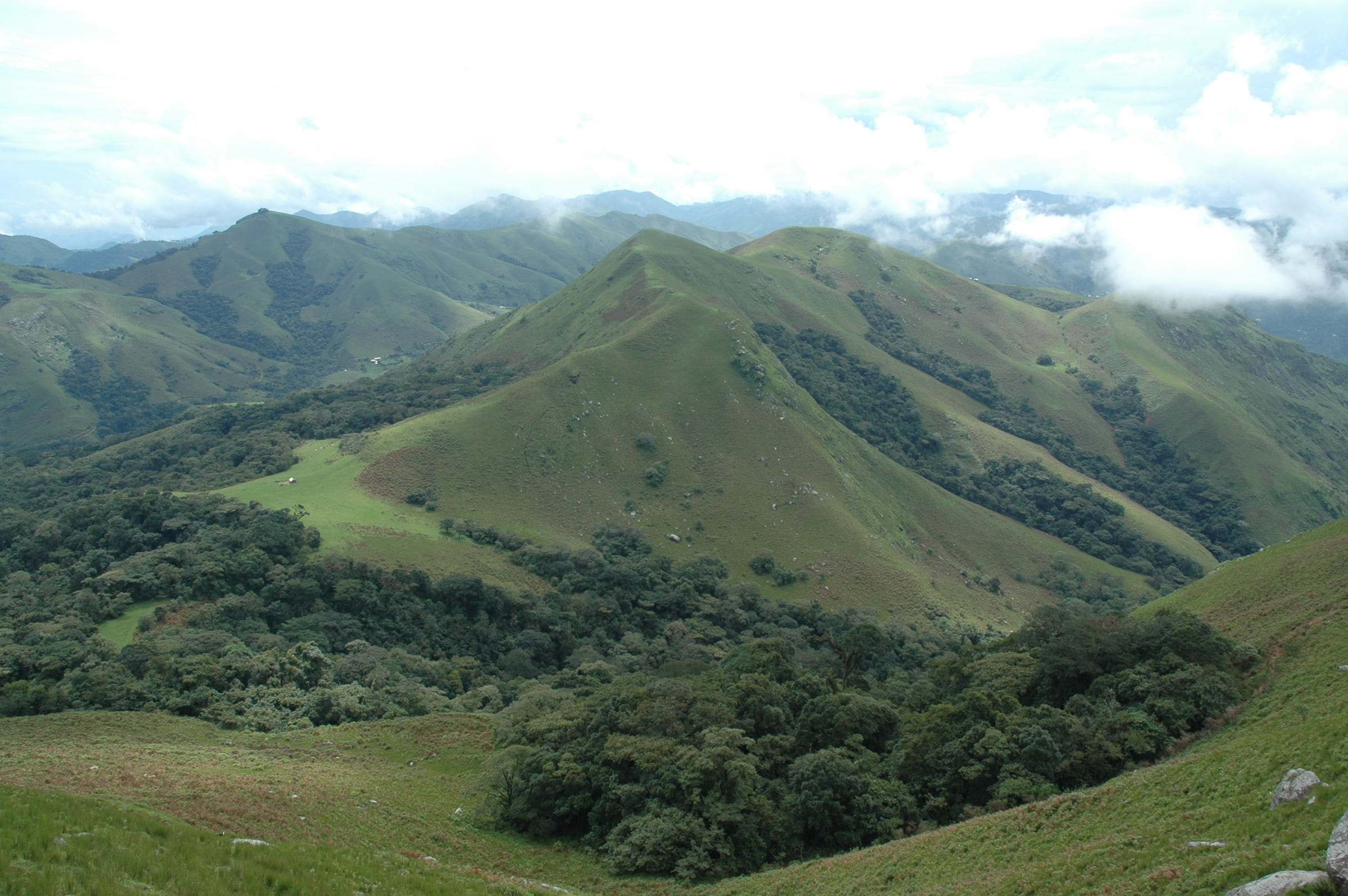 Kawegene-Gorilla-Reservat in Kamerun