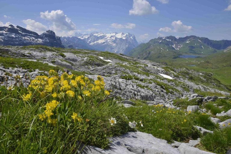 Graustock, sulle Alpi bernesi.