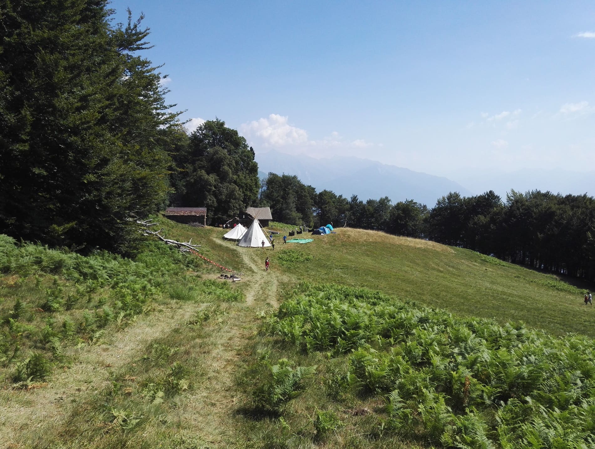 Campi Natura 2017