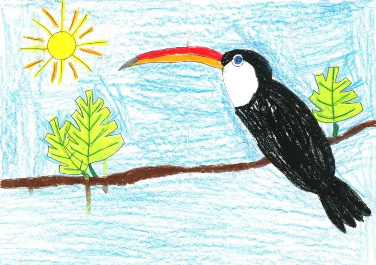 Un toucan dessiné par Veronika