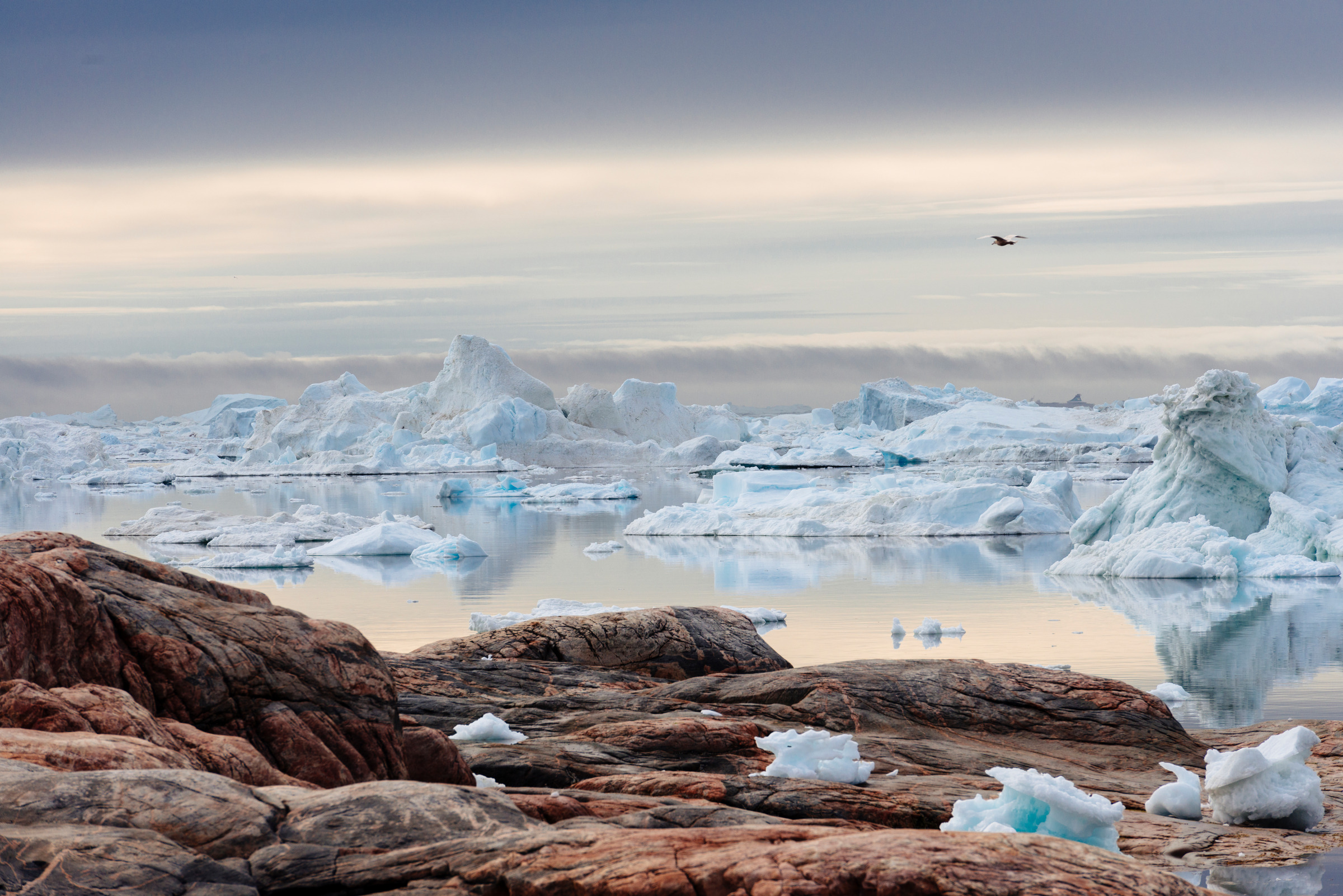 Paesaggio con rocce e eisberg in Groenlandia.