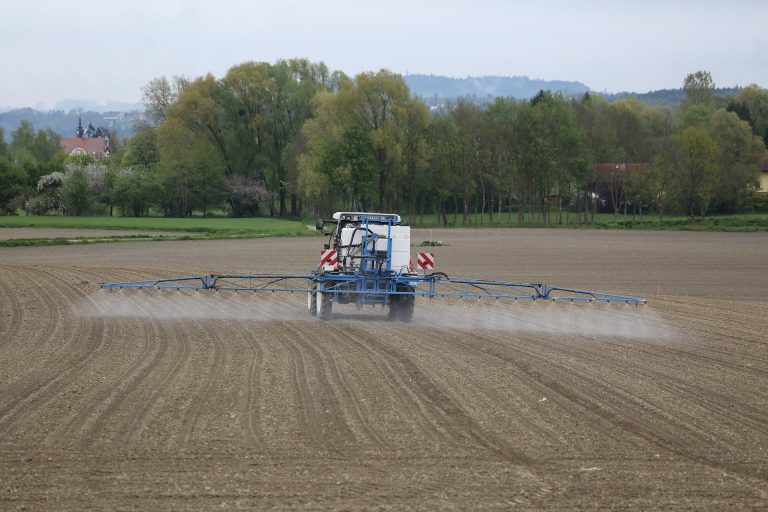 Les insecticides tuent la nourriture des chauves-souris.