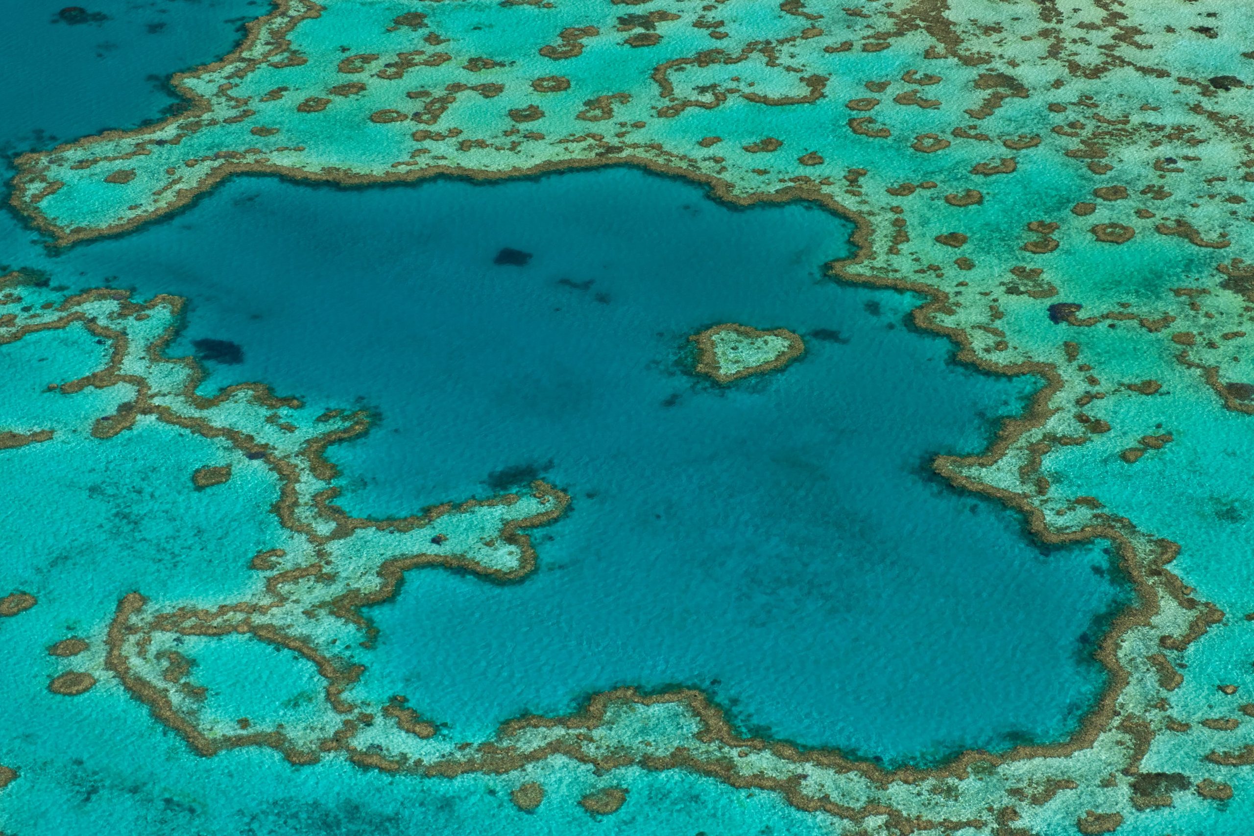 Luftaufnahme vom Great Barrier Reef