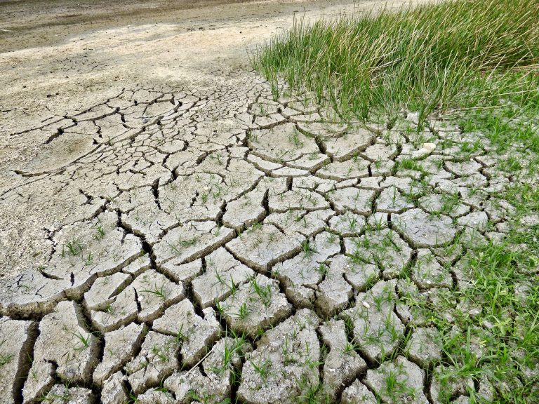 Sécheresse, sol sec, fissures dans le sol