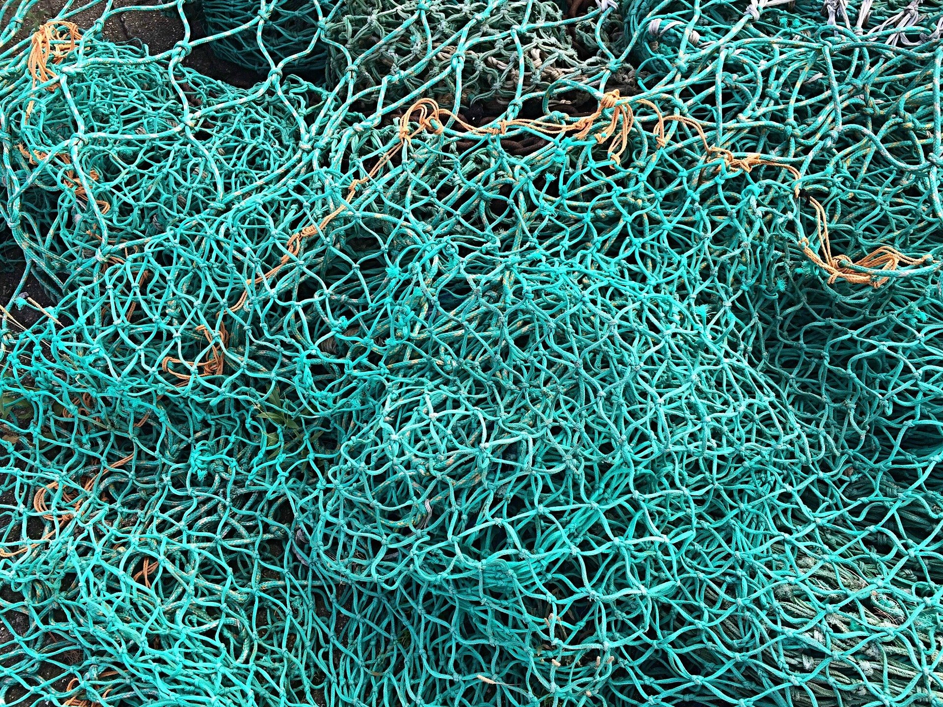 Fischernetze