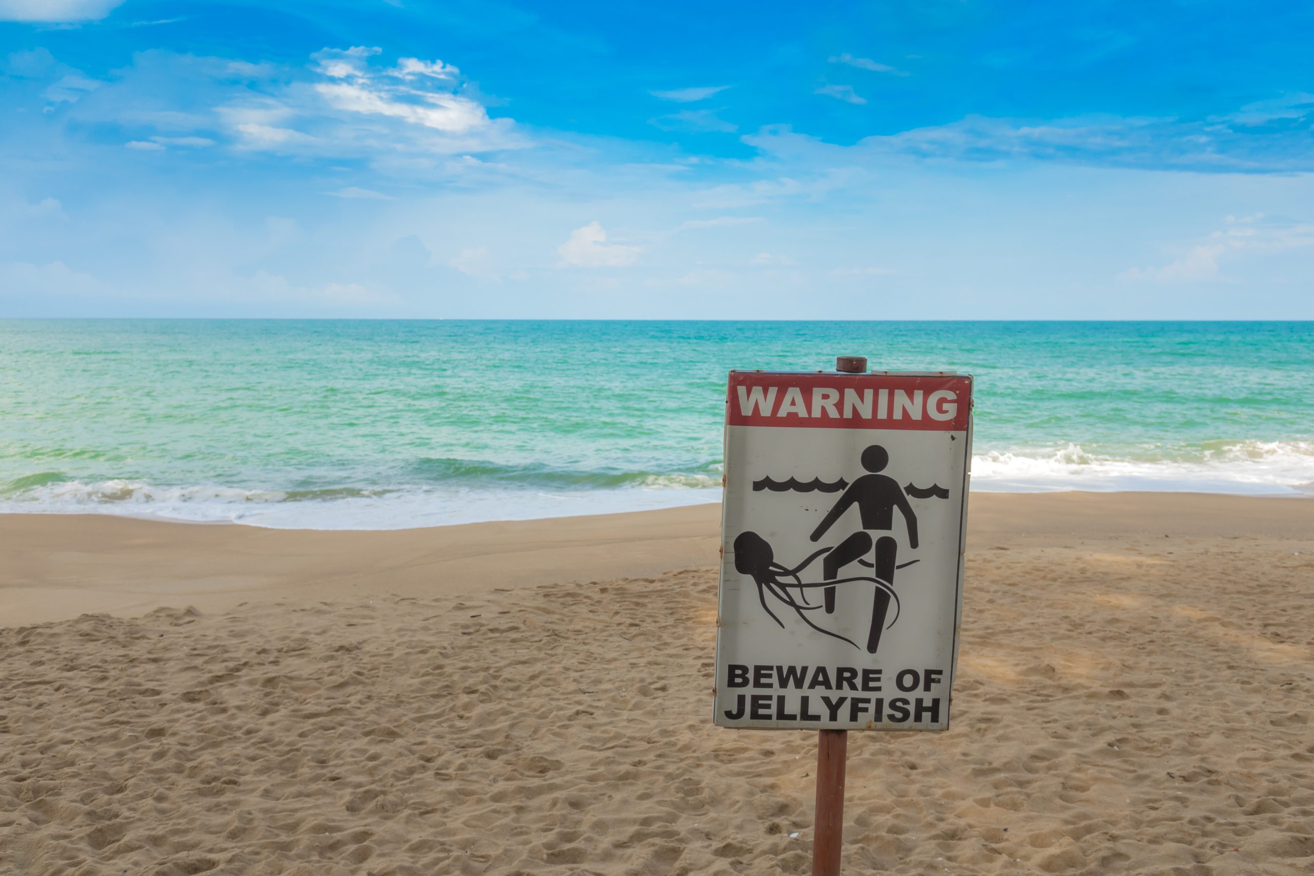 Un panneau annonçant un danger de méduses dans l'eau