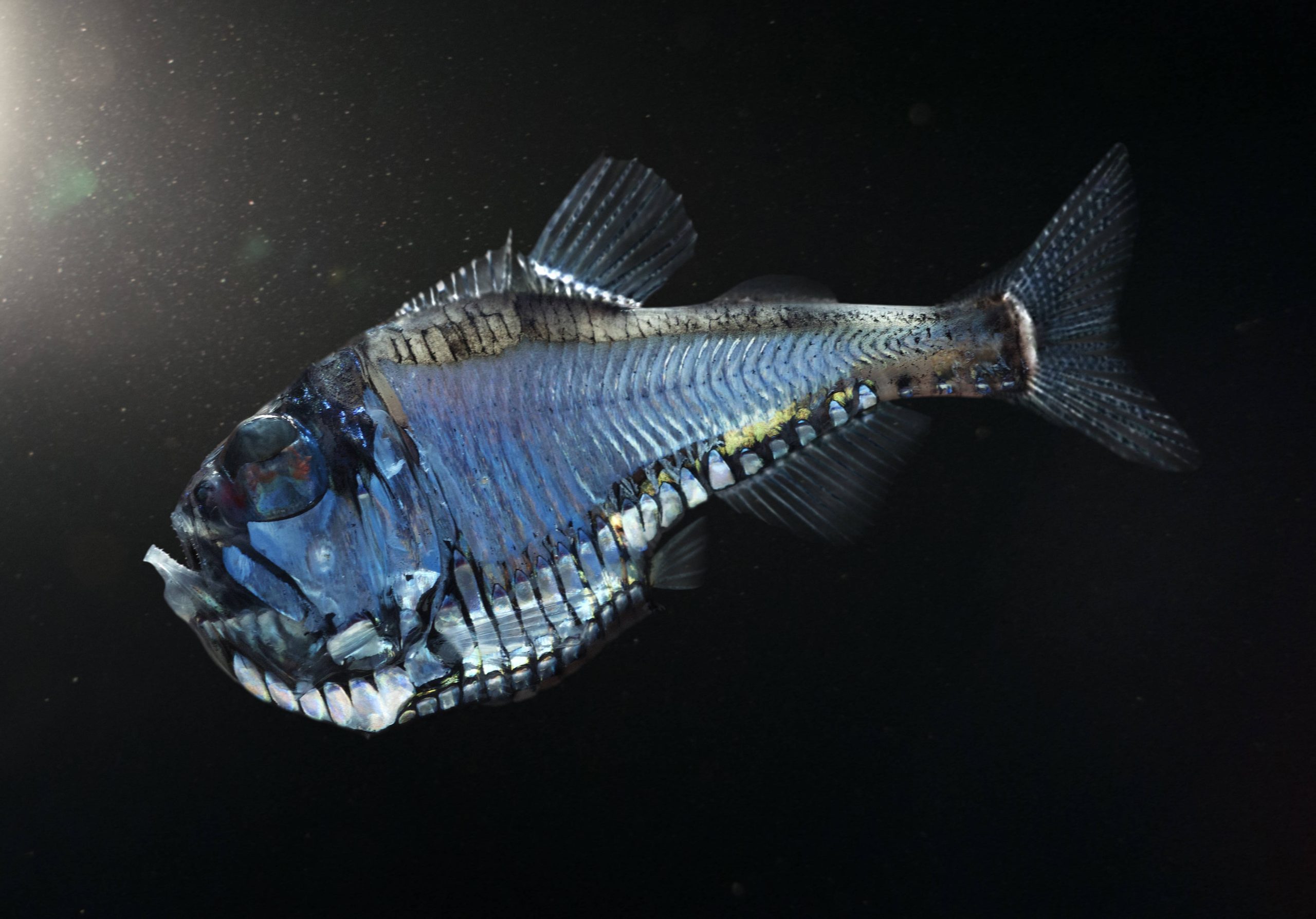 Silberbeil