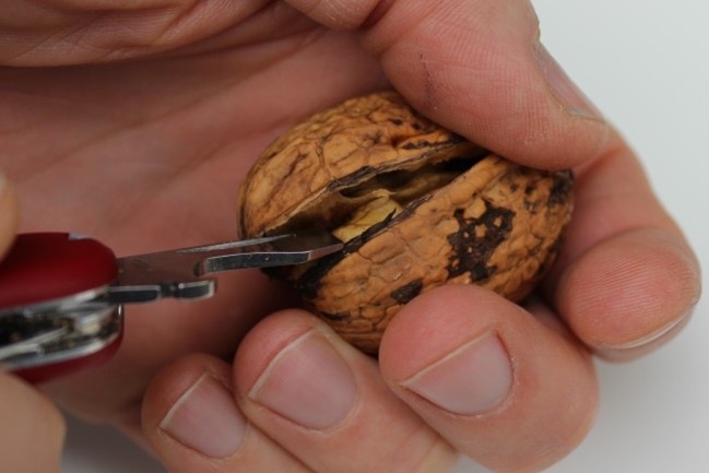 Adventswichtel aus Naturmaterialien herstellen