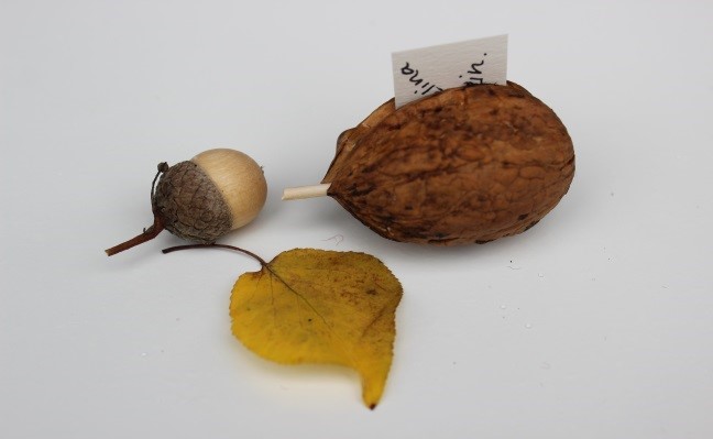 Botschaft im Adventswichtel aus Naturmaterialien verstecken