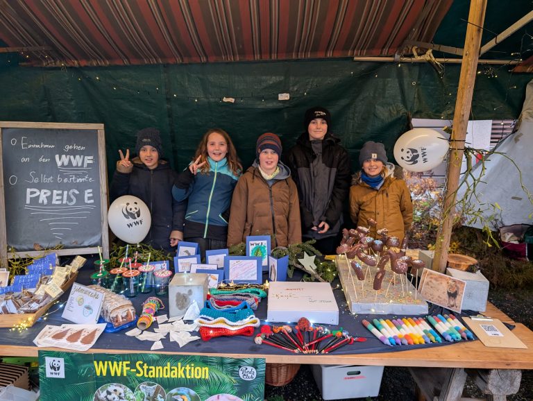 WWF-Standaktion am Adventsmarkt.