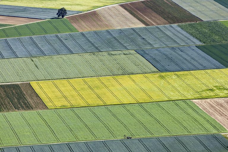 Un paysage de champs et de prairies