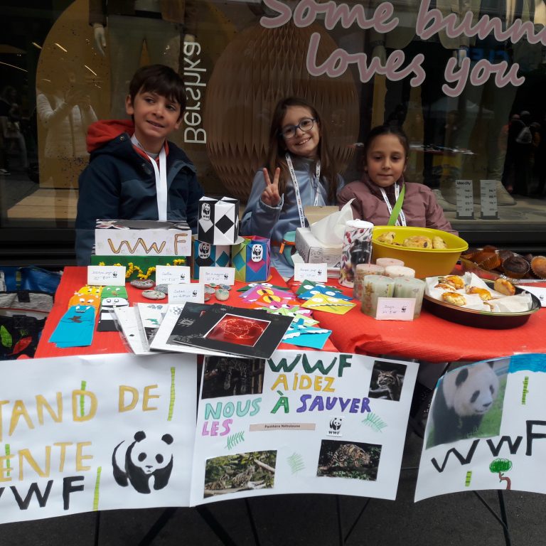 Stand de vente 2025