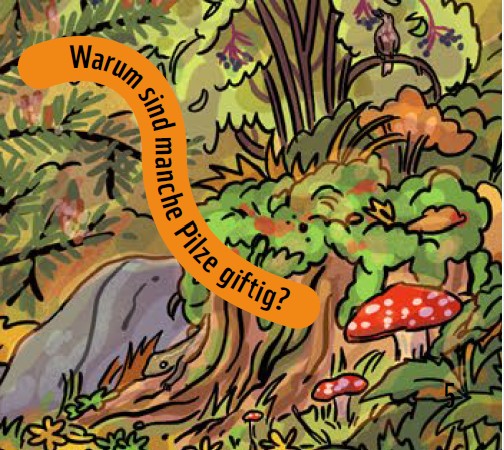 Lösung Waldrätsel