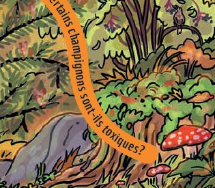 Les solutions du jeu de la forêt