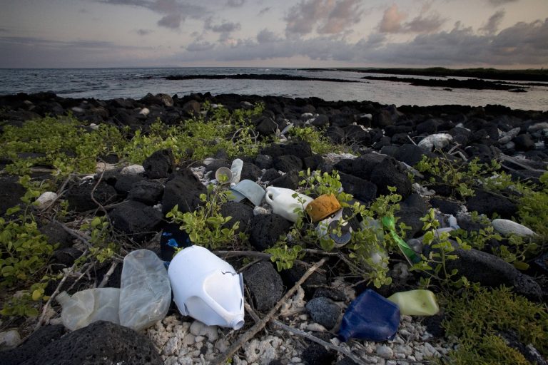 Müll auf den Galapagosinseln
