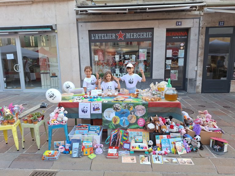 Clara, Zoé et Louisa au stand de vente.
