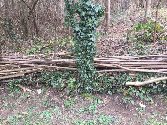 Tierversteck von Celio und seiner Schwester