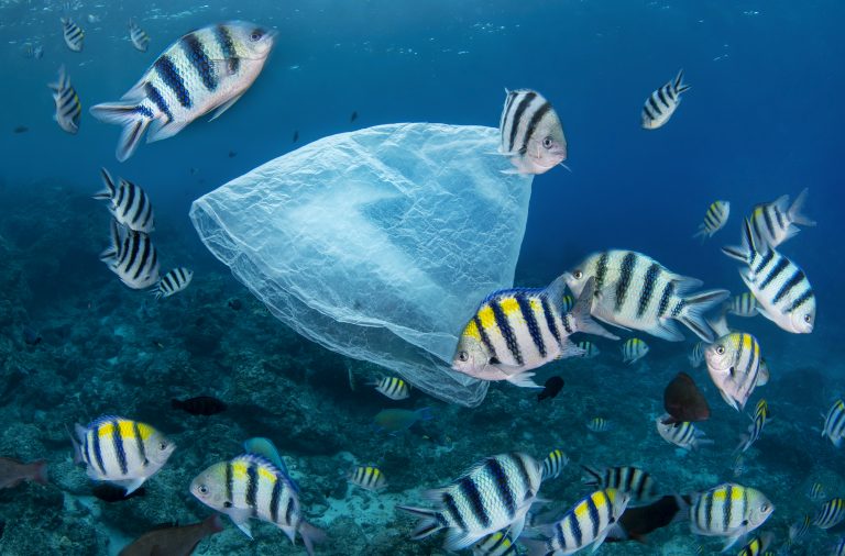 Plastiksack im Meer