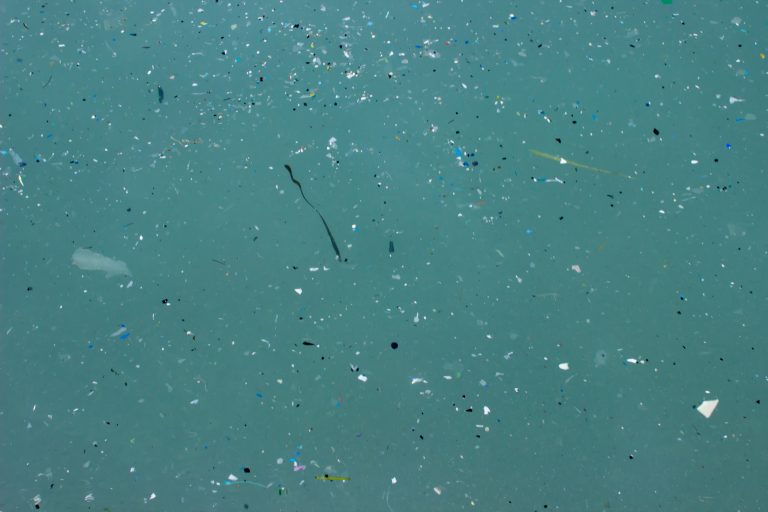 Mikroplastik