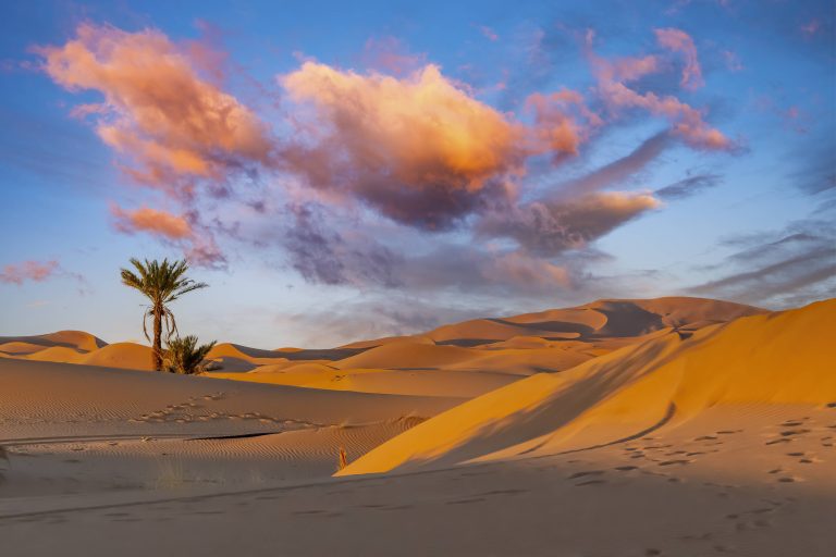 Sanddüne in der Sahara